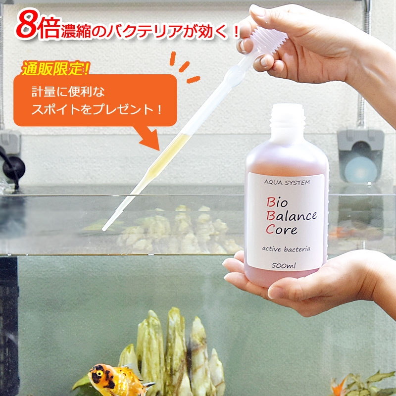 バイオバランス コア【500ml】濃縮タイプ BBC バクテリア 水質浄化 ろ過 ASP方式 ...