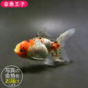 商品画像3