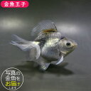 商品画像3