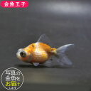 商品画像3