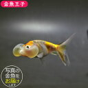 商品画像3