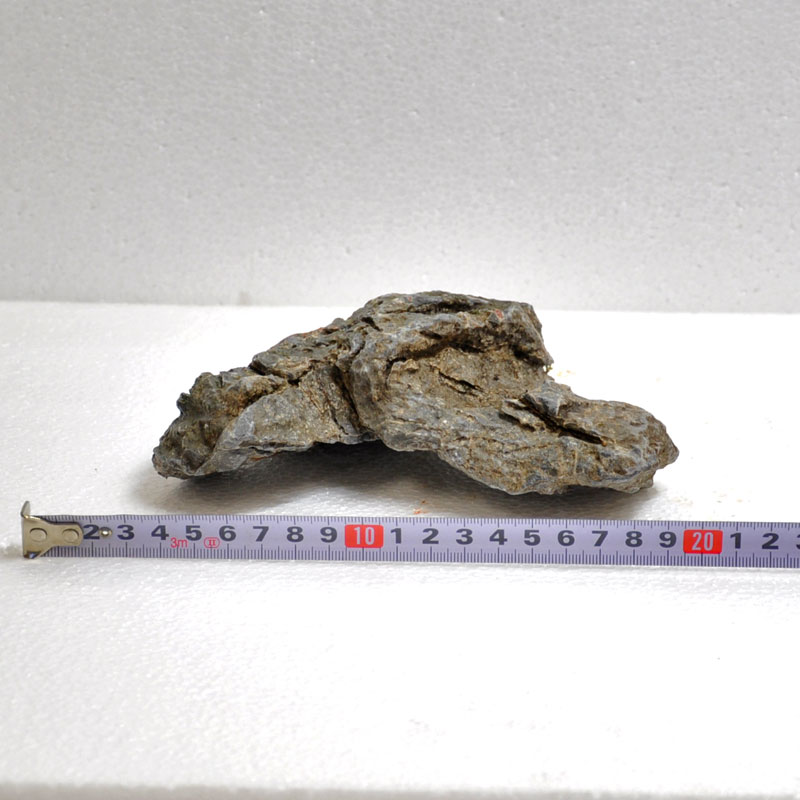 ��ζ�� ��3�ĥ��åȡ� (�������ޤ���) ŷ���� �� �쥤������ �������ꥦ�� ����