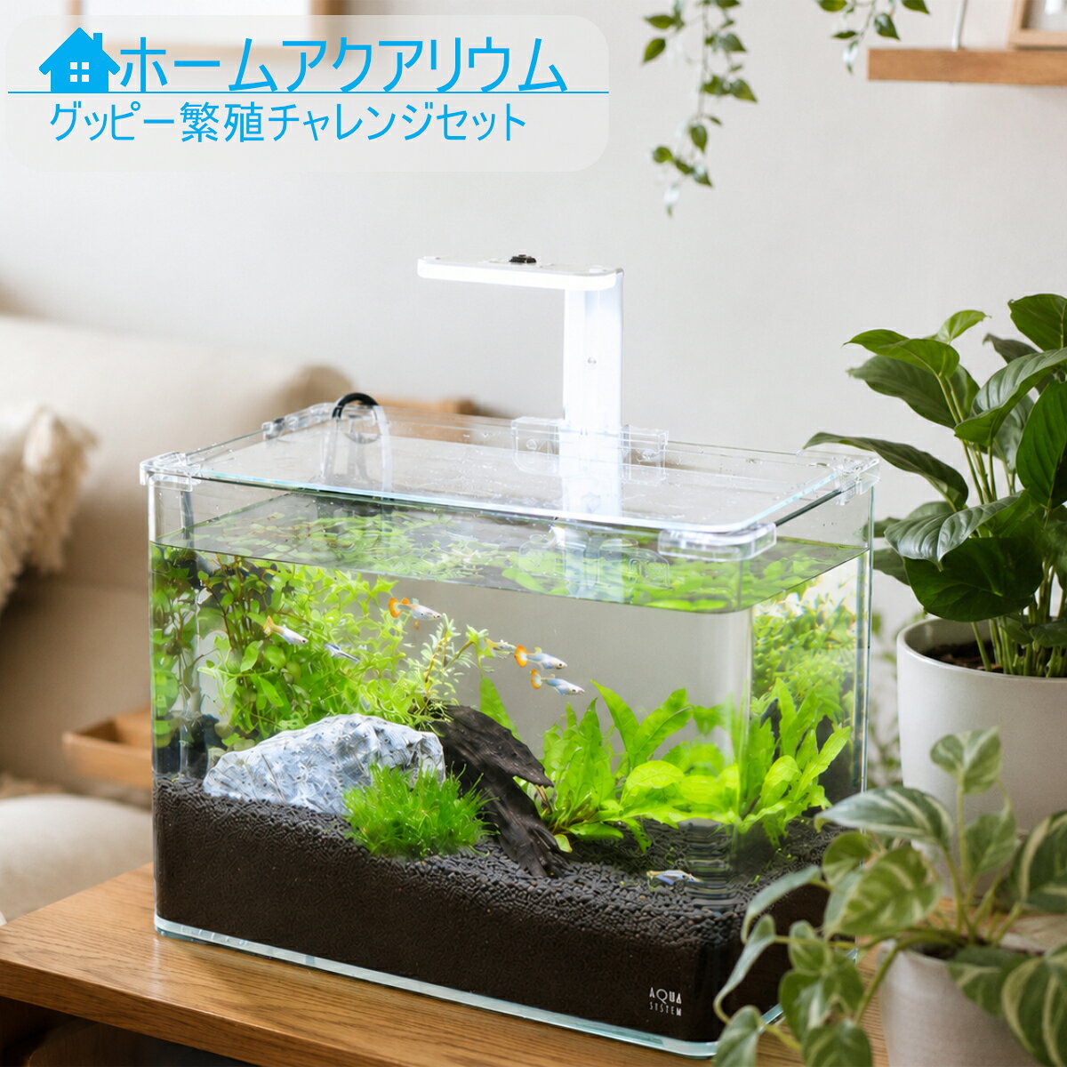 楽天市場】アクアシステム ledの通販