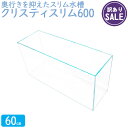 【訳あり】水槽 クリスティスリム600 (60×20×30cm 33L) アクアシステム 60cm水槽 超透明 薄型 クリアガラス オールガラス 熱帯魚 金魚 ...