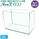 【訳あり】水槽 ニューアール600 (60×30×40cm 66L) NR600 アクアシステム 60cm水槽 熱帯魚 金魚 メダカ 水草 オールガラス 曲げガ...