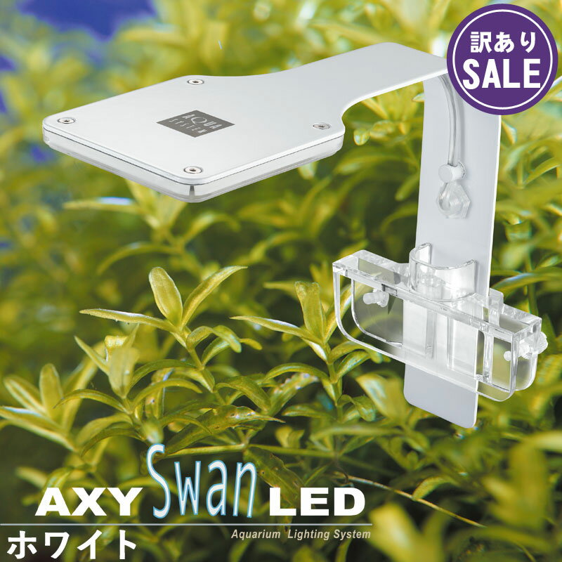 【訳あり】アクシースワン (AXY SWAN) LED 10W (ホワイト) アクアシステム ledライト 水槽ライト アクアリウムライト 超寿命 小型 【1年保証】 あす楽