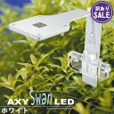 【訳あり】アクシースワン (AXY SWAN) LED 10W (ホワイト) アクアシステム ledライト 水槽ライト アクアリウムライト 超寿命 小型 【1年...