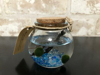 ���𡡤ޤ���ӥߥ˴ݥ��륯