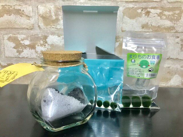 まりもが手軽に飼育でき お部屋のインテリアにおススメです 水草 まりも瓶太鼓コルク 栄養剤付きセット 61 Off まりもが手軽に飼育でき お部屋のインテリアにおススメです 水草 まりも瓶太鼓コルク 栄養剤付きセット 61 Off
