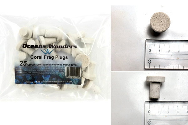 楽天アクアテイラーズ　楽天市場支店Oceans Wonders Coral frag plugs 25pc