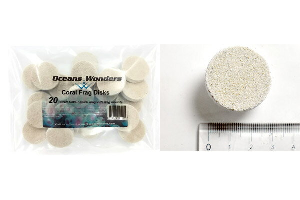 楽天アクアテイラーズ　楽天市場支店Oceans Wonders Coral frag disks 20pc