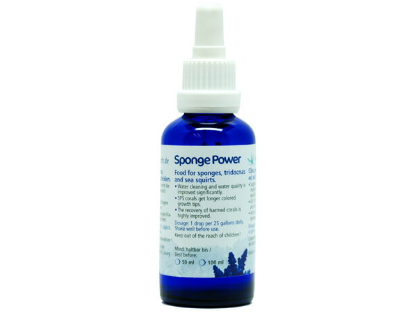 【お取り寄せ】KZ Sponge Power 50ml