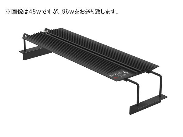 楽天市場】マーフィード nemo light t140の通販 楽天市場】マーフィード nemo light t140の通販