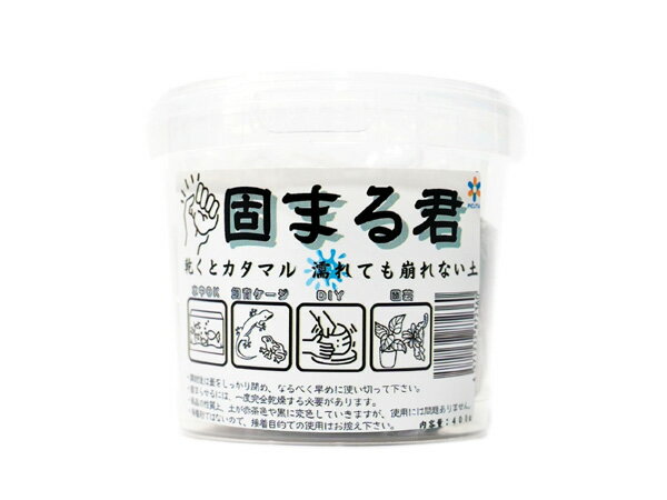 ピクタ 固まる君 400g