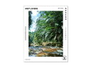 熱帯雨林植物 MIST LOVERS -ジャングルの小型草本植物たち-|詳細画像
