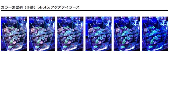 �ڤ����󤻡�Kessil A80 TunaBlue