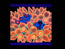 【正規輸入品】“Sweet Dream”UV Reactive Tapestry(4)