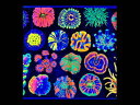 【正規輸入品】”Coral Reef”UV Reactive Tapestry(4)