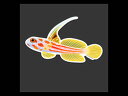 【正規輸入品】Yasha Goby Sticker(4)