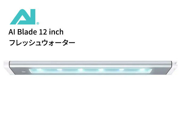 ڤ󤻡AI Blade 12 inch (30.74cm) եå奦