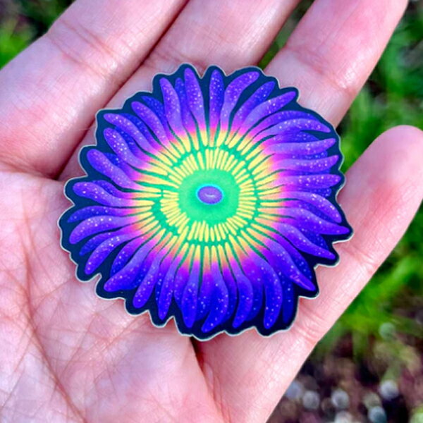 【正規輸入品】lazycoffeedesign Sunny D Zoa Sticker (Limited edition)