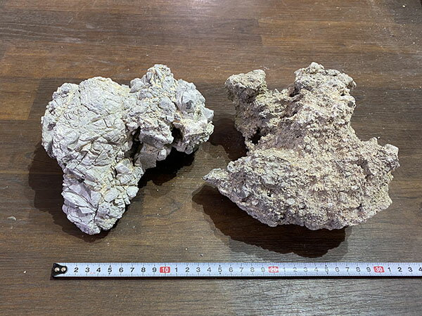 多角石 LサイズMIX 約5kg