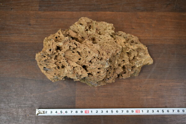 Wood stone ウッドストーン LサイズMIX 約3.5kg