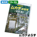 【2個購入で送料無料】ムカデよら