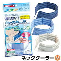 熱中症対策 グッズ 首 冷却 [ビズクールM 1セット入] 熱中症対策グッズ 首 冷却 グッズ 熱中症 暑さ対策 グッズ 首 ひんやり ネック クーラー 首 通勤 冷却グッズ 冷却スカーフ ポリマー 保冷剤 ゴルフ スポーツ クールビズ