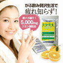 【訳あり 在庫処分セール ※賞味期限2025年6月※】【クエン酸ドリンクDX(10包入)】【即納】クエン酸 スポーツドリンク ドリンク サプリ 粉末 食用 熱中...