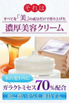 【GARACToRRe ガラクトーレ スキンメンテナンスクリーム】ガラクトミセス 美容クリーム 保湿クリーム エイジングクリーム エイジングケア 保湿 しみ しわ ほうれい線 韓国コスメ