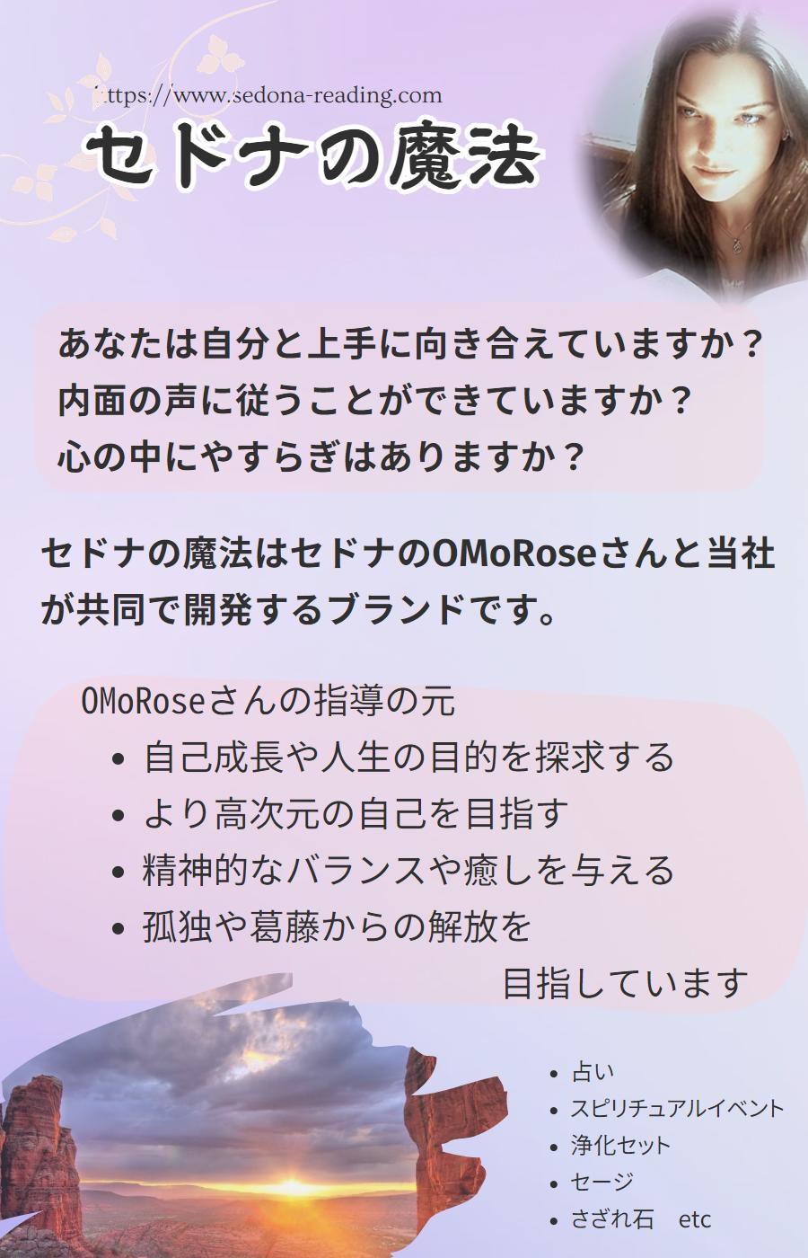 【6月値上予定　ラストチャンス】セドナの魔法 ホワイトセージ浄化スプレー　浄化ミスト　手軽なスマッジングツール　ホワイトセージ　ヒーリングミスト　、グラウンディング ミスト【セドナの魔法】 3