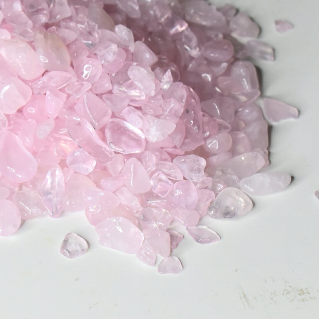 ġ졡100g2024ǯǡʤ/ŷС/徽åץ[ɥʤˡ]