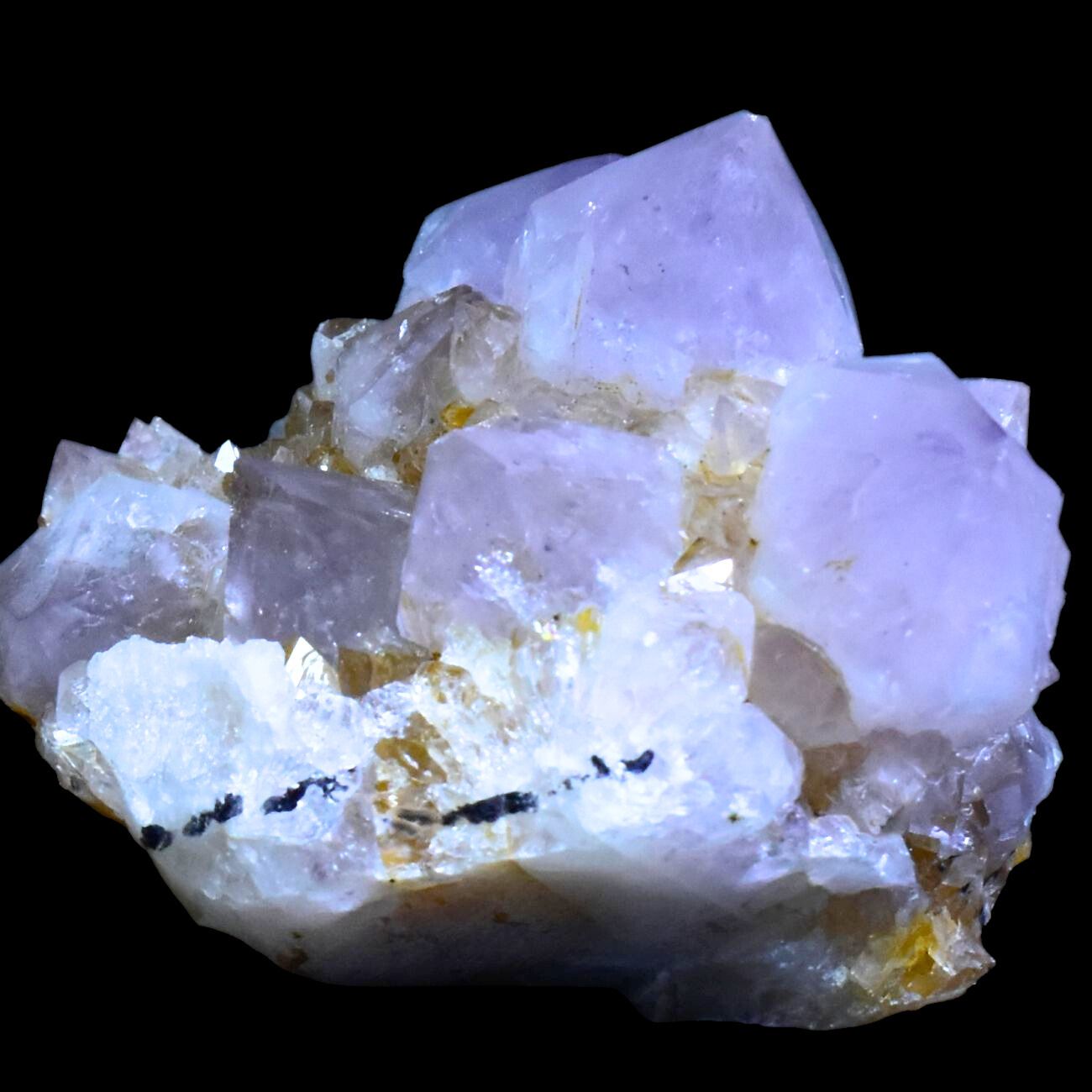 樂天商城 - カクタスアメジスト サボテン水晶 繁栄を意味する石 開運 厄落とし 受験のお守り(およそ192g)(cuc2)[セドナの魔法](2511)
