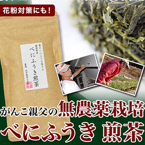 凶悪化した花粉に　カテキン タッ