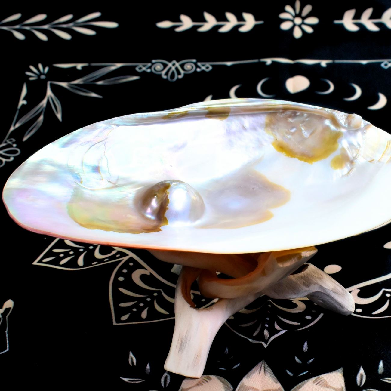 ��γñ�����դ� �ѡ��륷����ץ졼�� �᤭ �ѡ��륷����ʿ���ꡢξ�̶����᤭�����Τߡˡ��ۥ磻�ȥ����������Ѿ����Τ����Ȥ��� ���̾��������Ữ������������...