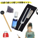 2025年版 自然の力を感じる、リラクゼーションハーモニーセット ソルフェジオ音階チューナー シャスタのホワイトセージミスト アメジストクラスター (2408)...