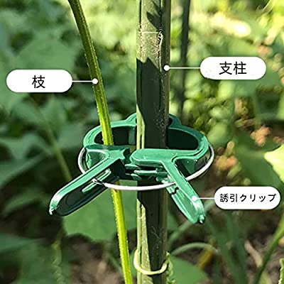 siawadeky 誘引クリップ 植物サポート 40個入 園芸クリップ 農業用 結束バンド 接木 クリップ 蔓 茎 枝 直立 園芸用便利クリップ 園芸用具 誘引作業 ガーデニング 園芸用 農業用 3