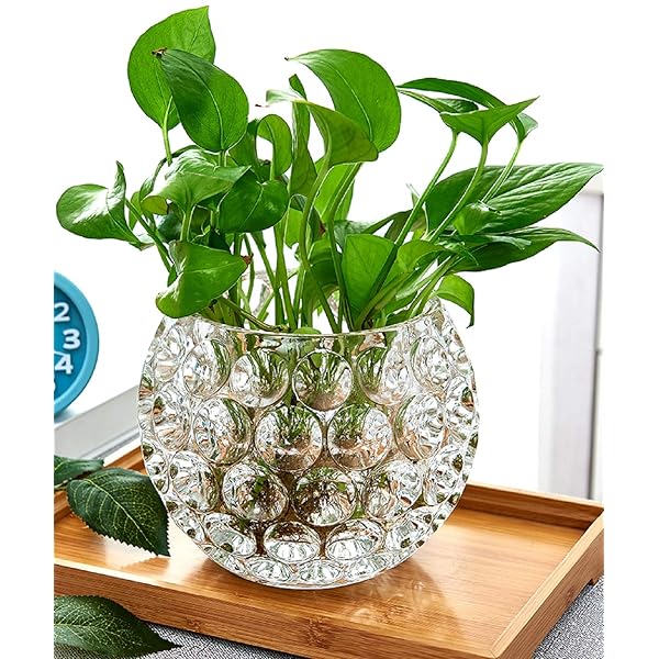 丸型 ガラス 花瓶 ガラス花瓶 金魚鉢 花器 ガラス フラワーベース 花瓶 花器 ガラスベース ガラスボト..