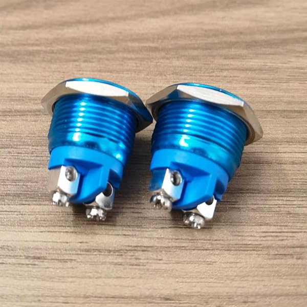 ������̵����t 2�� 16MM 3A/12V 24V 36 DC 110V 250VAC 1NO SPST ���󥿥�ץå���ܥ��󥹥��å� IP65 �ɿ奢��ߥ˥����⥷���� �ͥ�ü�� (�֥롼������)