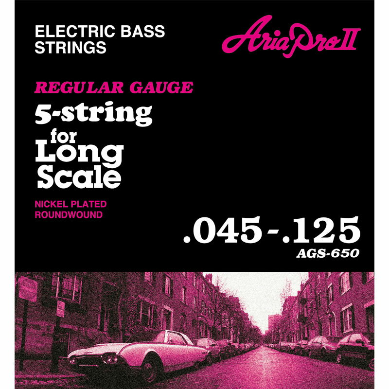 ARIA　　Electric　Bass　Strings　AGS-650　5-string,　Long　Scale　5弦ベース用弦