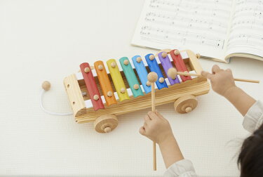 エドインターシロフォンカーリトミック教育ラッピングサービス
