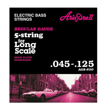 ARIA 　Electric Bass Strings　AGS-650　5-string, Long Scale　5弦ベース用弦