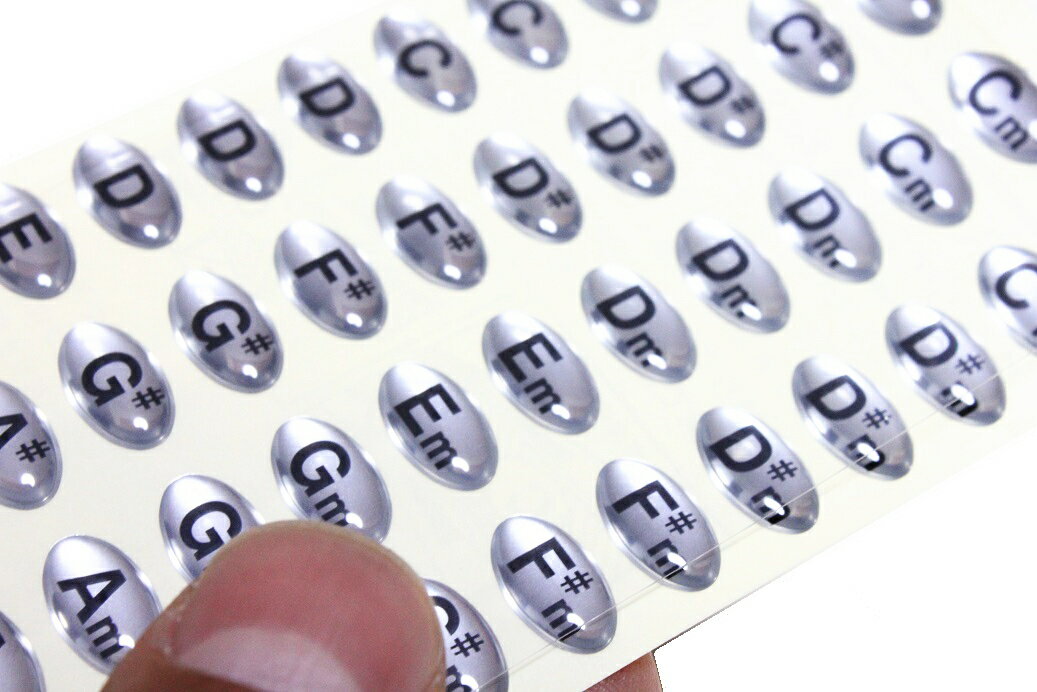 SUZUKI HKS-01 スズキ　複音ハーモニカ調子シール