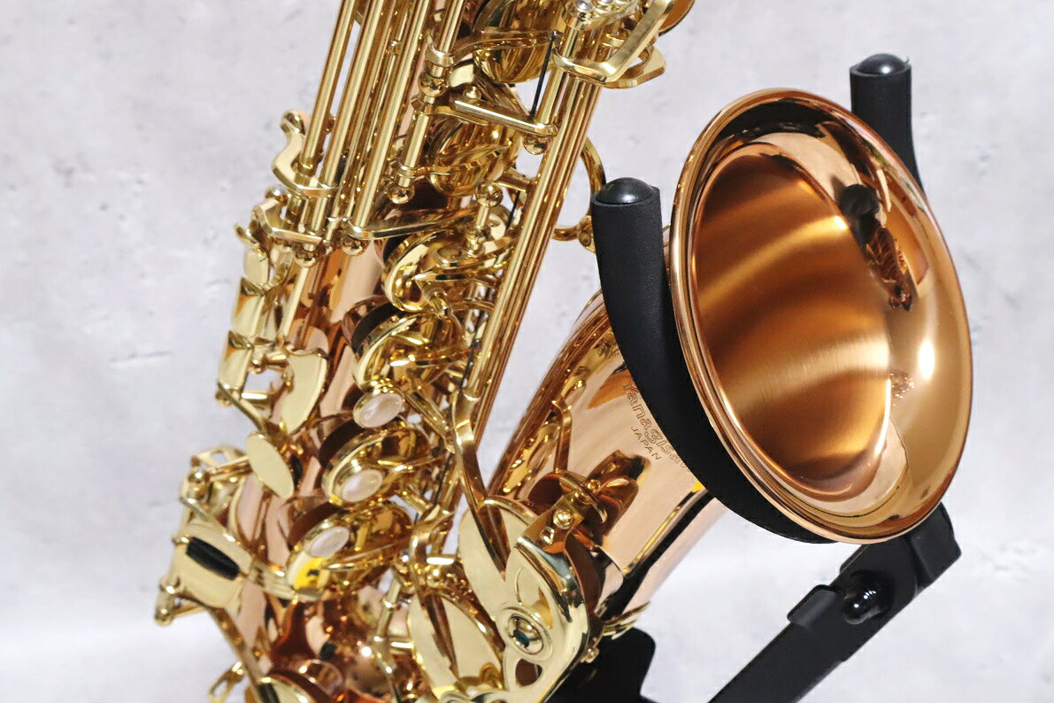 YANAGISAWA　A-WO2　Alto Saxophone 　ヤナギサワ　アルトサックス　ブロンズ ブラ...