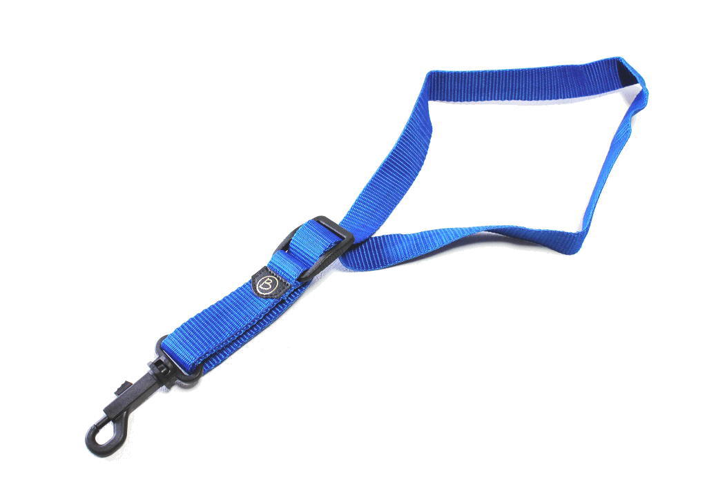 BRANCHER BRSS-BL�ʥ֥롼��STANDARD �֥����㡼 ���å����ѥ��ȥ�åס�����������ɡ�����ȥ��å��� / �ƥʡ����å�������