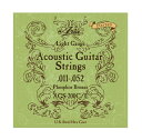 ARIA AGS-200C/L Acoustic Guitar Coated Strings Coated Light コーディング アコースティックギター弦 ライトゲージ