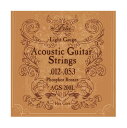ARIA AGS-200L Acoustic Guitar Strings Light アリア アコースティックギター弦 ライトゲージ
