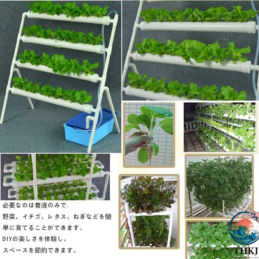 aragokの【全品5%ポイント】水耕栽培キット すいこう栽培キット 野菜 栽培キット 室内 いちご 家庭菜園 水耕栽培セット プランター 36穴 人気 おすすめ 人気｜アングル3
