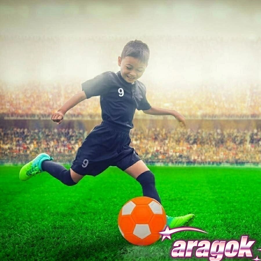 ������2����5%OFF�ۥ��å����ܡ��� �Ѳ��� �ޥ��å� �ʤ��� ���å��� ������ �ܡ��� 4��� ����� ��� ����ƻ��